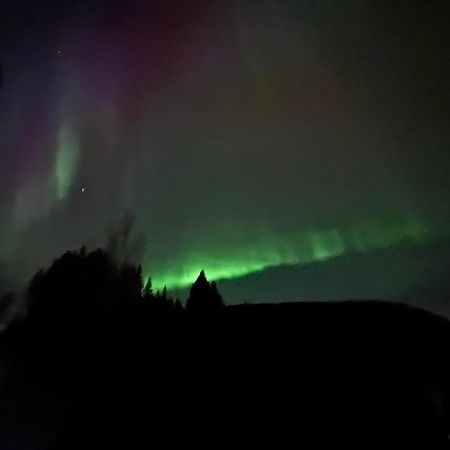 Ett Hus Med 3 Sovrum Med Supersnabba Internet Fiberanslutningen 1000Mb-100Mb I Hoeg, 7 Minuter Fran Hudiksvall Esterno foto