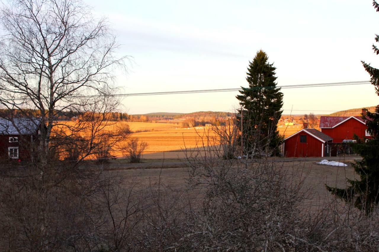Ett Hus Med 3 Sovrum Med Supersnabba Internet Fiberanslutningen 1000Mb-100Mb I Hoeg, 7 Minuter Fran Hudiksvall Esterno foto