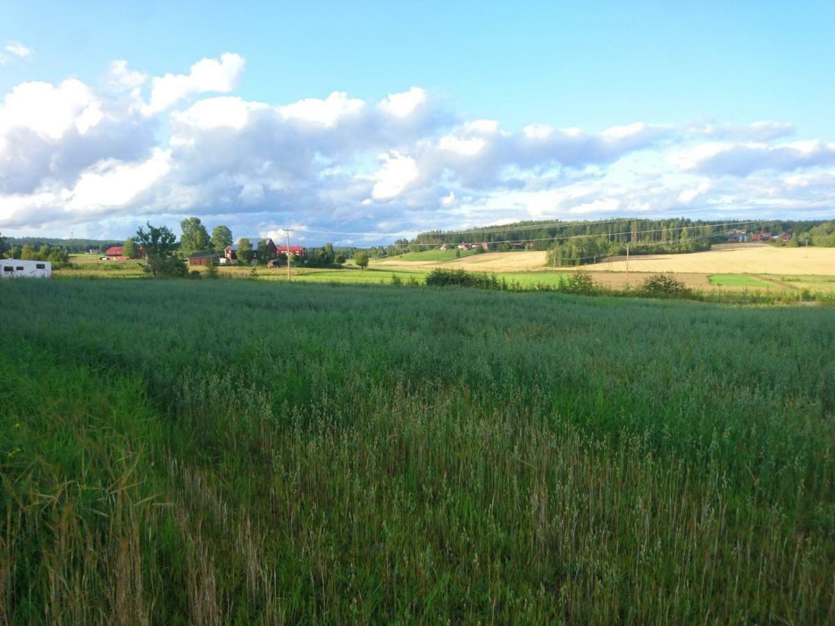 Ett Hus Med 3 Sovrum Med Supersnabba Internet Fiberanslutningen 1000Mb-100Mb I Hoeg, 7 Minuter Fran Hudiksvall Esterno foto