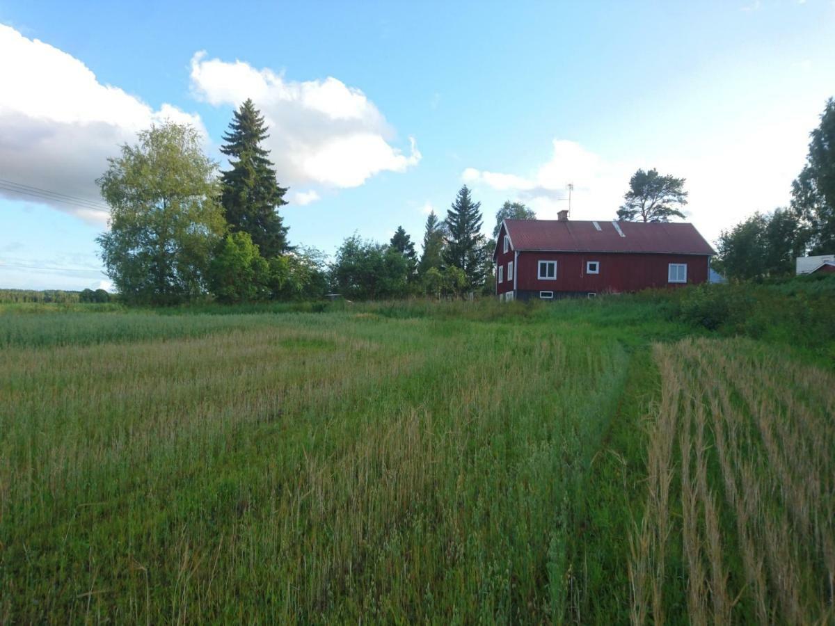 Ett Hus Med 3 Sovrum Med Supersnabba Internet Fiberanslutningen 1000Mb-100Mb I Hoeg, 7 Minuter Fran Hudiksvall Esterno foto