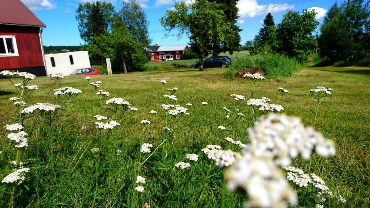 Ett Hus Med 3 Sovrum Med Supersnabba Internet Fiberanslutningen 1000Mb-100Mb I Hoeg, 7 Minuter Fran Hudiksvall Esterno foto