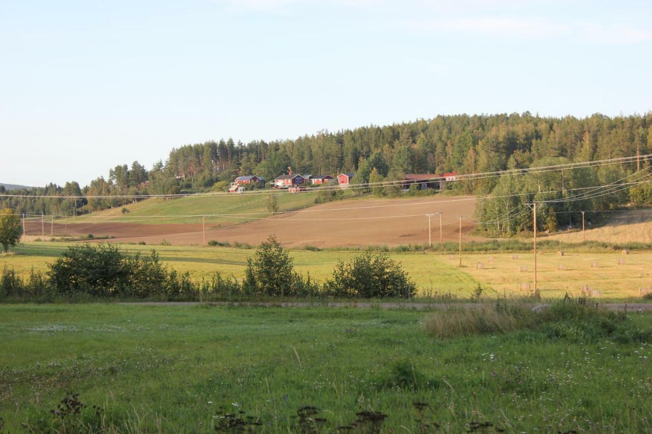 Ett Hus Med 3 Sovrum Med Supersnabba Internet Fiberanslutningen 1000Mb-100Mb I Hoeg, 7 Minuter Fran Hudiksvall Esterno foto